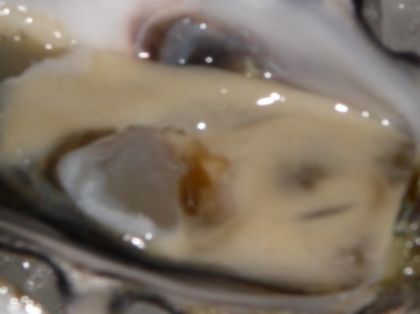 f0036924_20412572.jpg