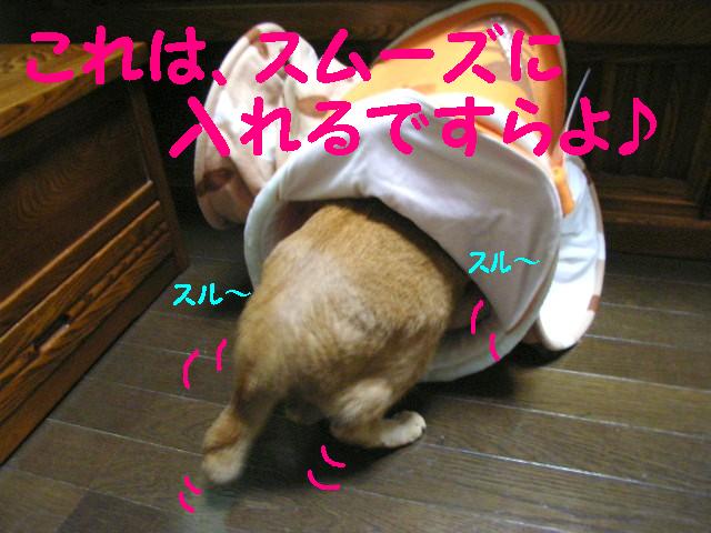 d0081025_206016.jpg