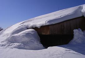f0118332_2350285.jpg