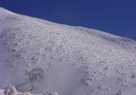 f0118332_23562430.jpg