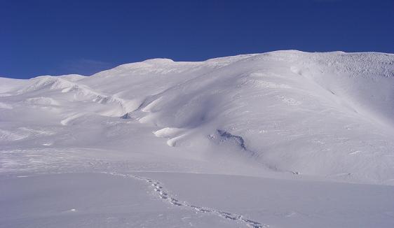 f0118332_23584619.jpg