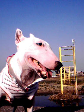 b0033735_23573255.jpg