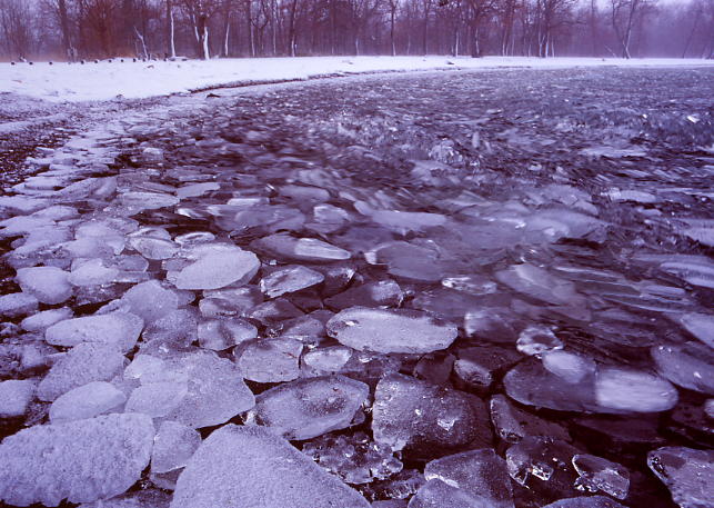 b0083855_2317090.jpg