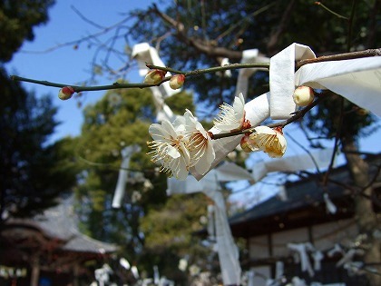 b0059860_13305529.jpg
