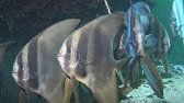 c0049060_23564540.jpg