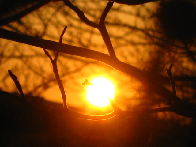 d0070473_9411680.jpg