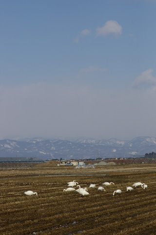 b0072176_18513143.jpg