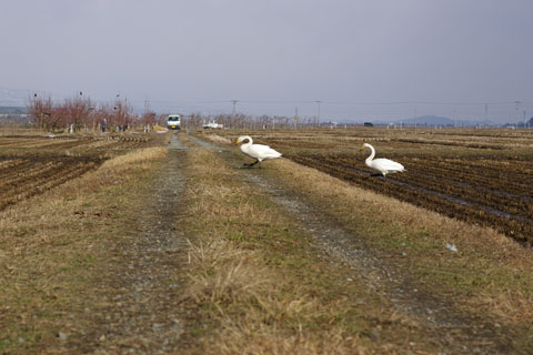 b0072176_185868.jpg