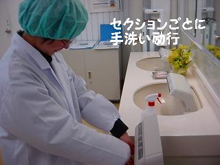 f0075087_9474251.jpg