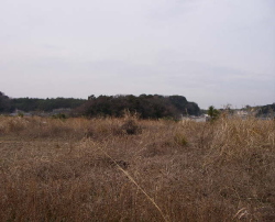 c0008598_17592880.jpg