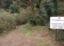 c0008598_1801434.jpg
