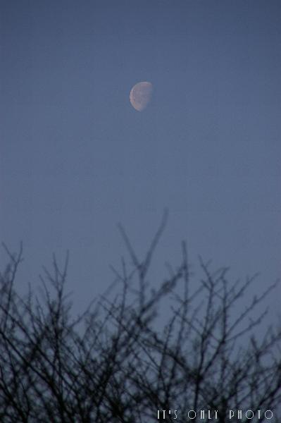 e0008800_175943100.jpg