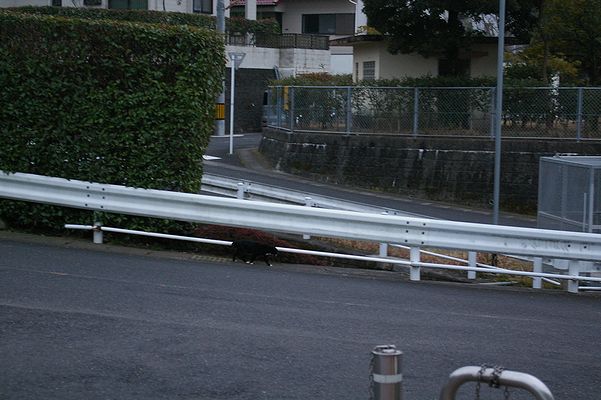 a0024005_413261.jpg