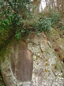 f0000521_10155383.jpg
