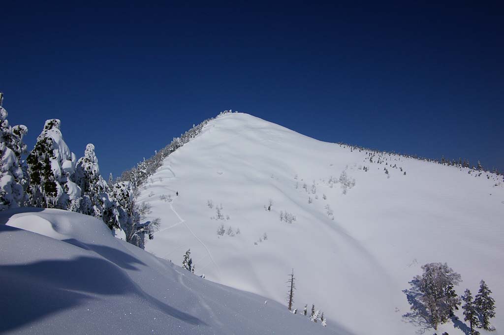 b0062024_2231873.jpg