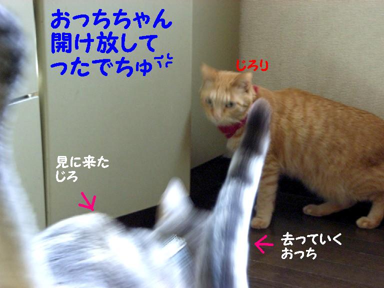 d0081025_19411446.jpg