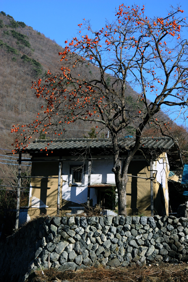 f0081726_12413525.jpg