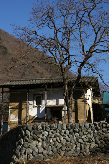 f0081726_12414531.jpg