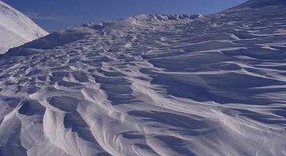 f0118332_00502.jpg