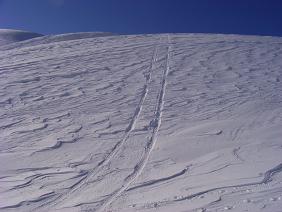 f0118332_014971.jpg