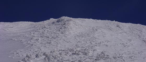 f0118332_23574433.jpg