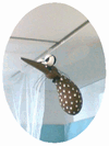 b0080033_1263930.gif