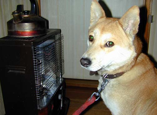 e0077145_14501997.jpg