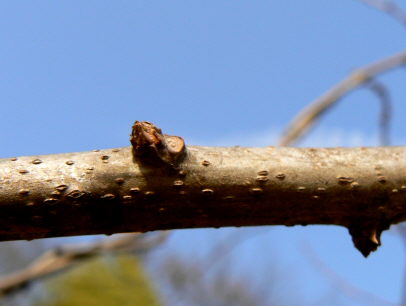 d0091754_3131121.jpg