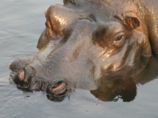 e0028056_8175093.jpg