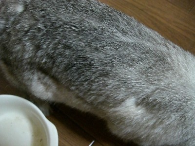 f0104057_2231089.jpg