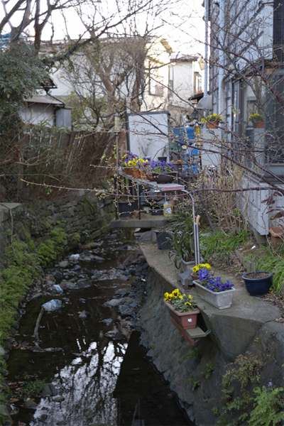 c0071866_2082773.jpg