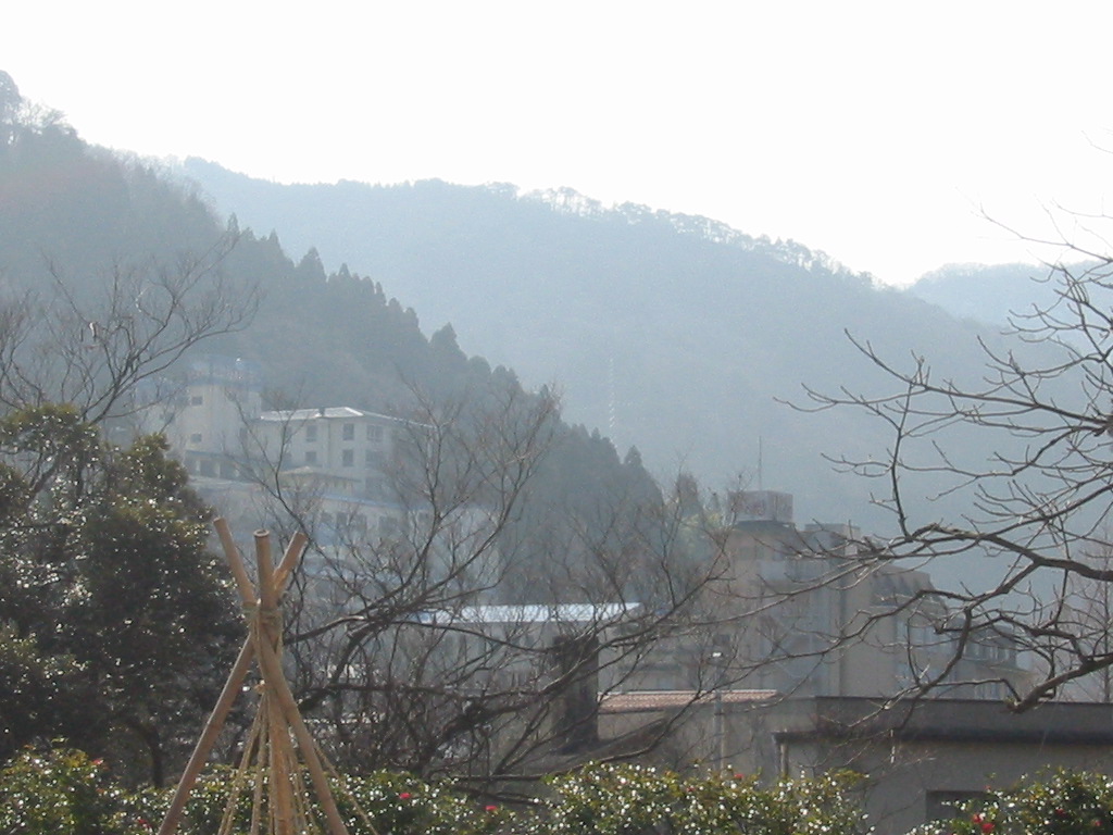 d0094868_8155955.jpg