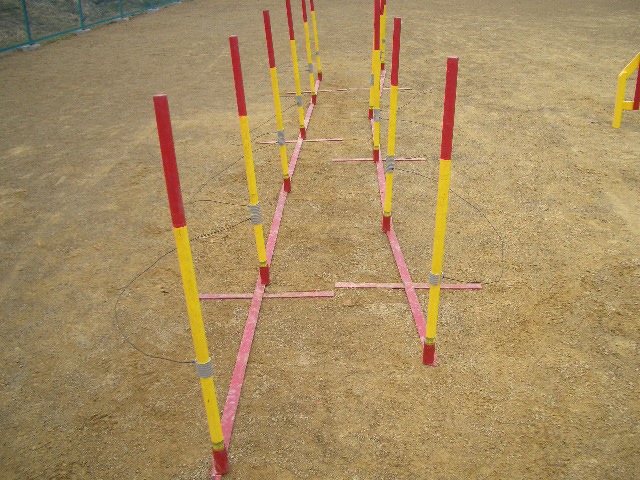 f0120770_11501873.jpg