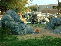 f0052071_13441844.jpg