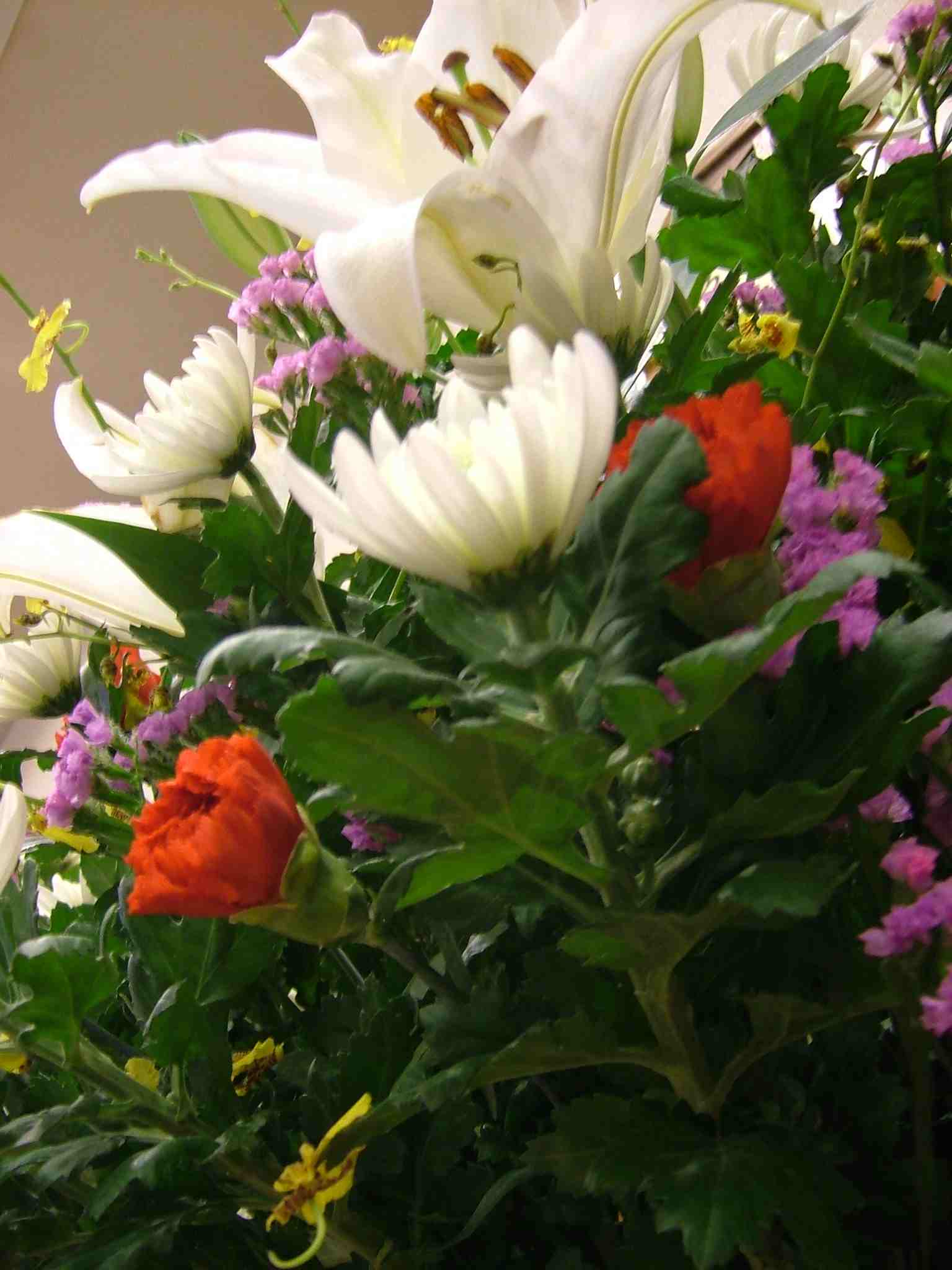 e0021276_22145853.jpg