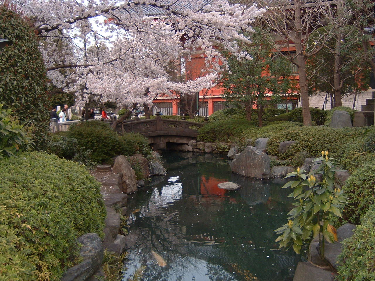 b0013080_1174462.jpg