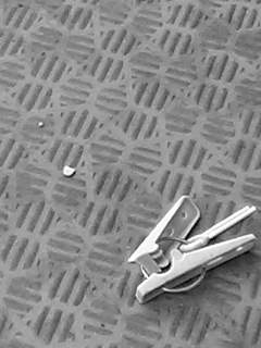 f0100480_9144866.jpg
