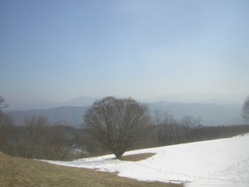a0034487_21341032.jpg
