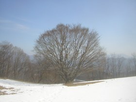a0034487_21342264.jpg