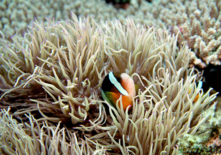 f0112087_2245024.jpg
