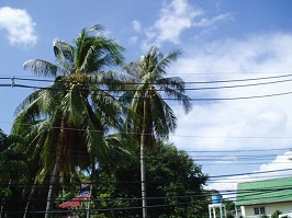 d0098388_15264996.jpg
