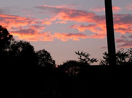 d0098388_161421.jpg