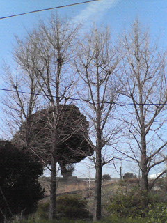 f0038892_23345066.jpg