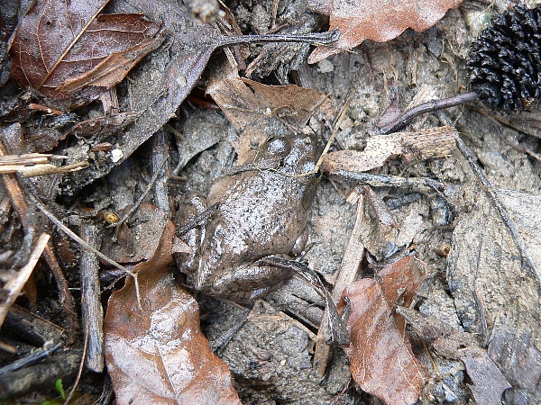 e0002314_2014112.jpg