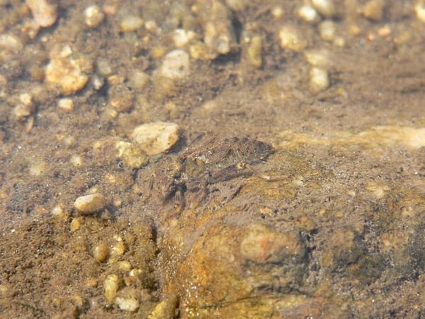 e0002314_20303381.jpg