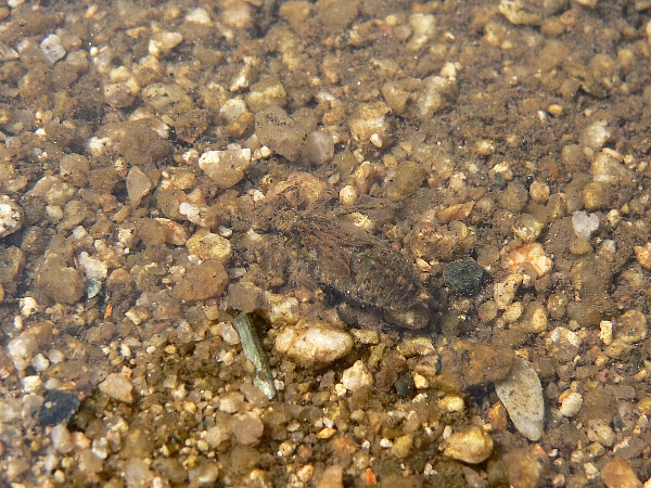 e0002314_20304264.jpg