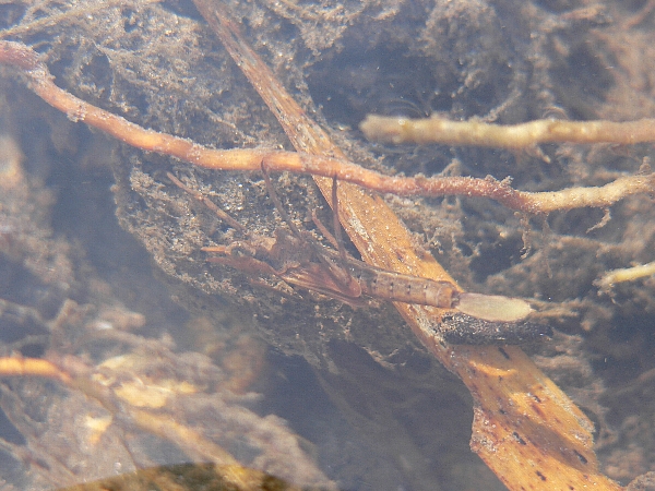 e0002314_20321627.jpg