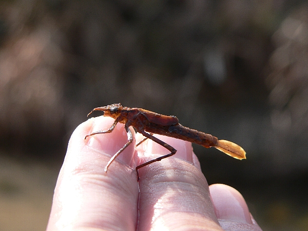 e0002314_20322316.jpg
