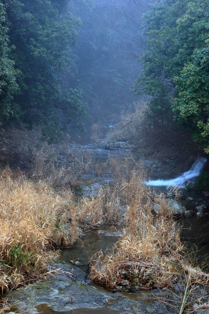 d0085715_075669.jpg