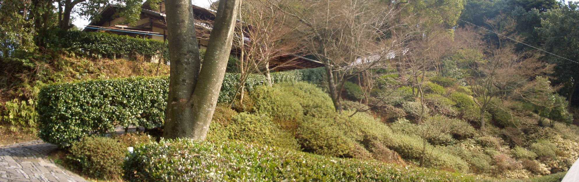 c0103119_1393376.jpg